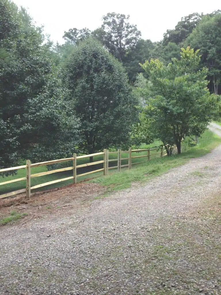 Split Rail Fence IMG 0724 British Standard Fence